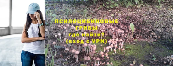 гидра Бородино