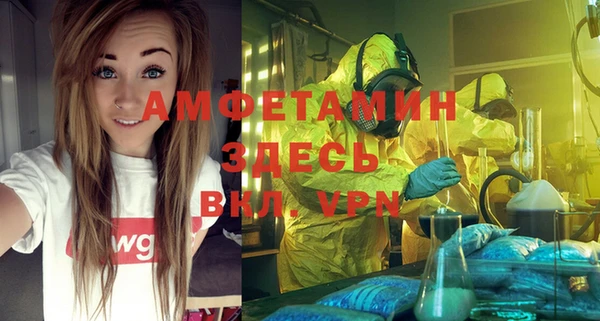 гидра Бородино