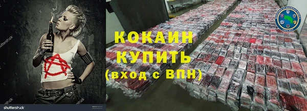 гидра Бородино